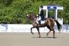 Foto: Borja Carrascosa (ESP) mit Wonder gewann mit 73,059% den Grand Prix Special - Fotograf: Hellmann