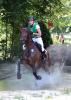 Foto: Ingrid Klimke mit Hale Bob - Fotograf: WRFC Toffi