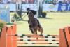 Foto: Frank Schuttert und Winchester - Fotograf: Karl-Heinz Frieler kostenfrei 