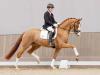 Foto: Preisspitze der Reitpferdekollektion: Nr. 1 Supergirl v. Sir Heinrich - Fotograf: Reckimedia