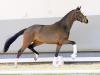 Foto: Beliebtester Youngster des Abends Zocker ST v. Zoom/Farbenspiel - Fotograf: Reckimedia