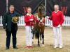 Foto: Preisspitze der Youngster-Auktion Ponys: Choco Royal v. DSP Cosmo Royale/Chantre B - Fotograf: Reckimedia