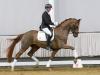 Foto: Kopfnummer 1 der Winter-Auktion 2022: Filou Rouge v. Floriscount/Quaterback - Fotograf: Reckimedai
