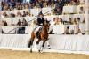 Foto: Preisspitze Semenyo N v. Secret/Belissimo M - Fotograf: Hannoveraner Verband