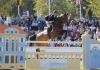 Foto: Sie Frank Schuttert (NED) mit Winchester beim CHI Donaueschingen 2012 - Fotograf: sportfotos-lafrentz.de