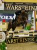 Foto: Alina Hagemann und Leo – Sieger der Warsteiner Reitsport-Förderung 2011 - Fotograf: Stefan Lafrentz 