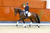 Foto: Saint Jacques v. Scolari/Weltmeyer - Fotograf: Hannoveraner Verband