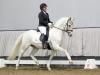 Foto: Teuerste Offerte Goldrichtig P v. Hesselteichs Golden Dream/FS Don´t Worry - Fotograf: Reckimedia