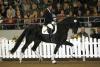 Foto: Die dreijährige Rappstute Sensation (v. San Remo – Ferragamo) brachte ihrer Züchterin Maria Leusmann den Spitzenpreis von 141.000 Euro