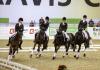 Foto: Siegermannschaft 2016: TG Bad Zwischenahn - Fotograf: Sportfotos-lafrentz