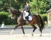Foto: Sieger der Zwei-Sterne S-Dressur Intermediaire I beim 30. Landesturnier 2019 im Landgestüt Redefin wurde Libuse Mencke auf dem im Gestüt Ganschow gezogenen Mecklenburger Wallach Syrio - Fotograf: © Jutta Wego