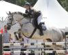 Foto: Chrisin Wascer mit Swet Peppina