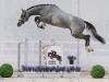 Foto: Preisspitze der Cornet Obolensky Youngster-Auktion: Nr. 7 Cornet´s Amy - Fotograf: Reckimedia 