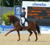 Foto: Fabienne Lütkemeier mit D'Agostino beim Internationalen Dressurfestival in Lingen 2013 - Fotograf: sportfotos-lafrentz.de