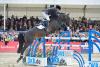 Foto: John Whitaker und Argento - Fotograf: Karl-Heinz Frieler 