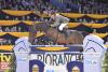 Foto: Ludger Beerbaum mit Chaman, Sieger im Solartechnik Stiens Grand Prix - Fotograf: Karl-Heinz Frieler 