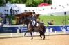 Foto: Jessica von Bredow-Werndl hier siegreich in der Grand Prix Kür 2019 mit TSF Dalera BB - Fotograf: Foto-Design gr. Feldhaus