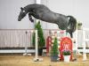 Foto: Preisspitze Chacandro v. Chacoon Blue/Clinton - Fotograf: Reckimedia