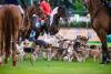 Foto: 104 Pferde, 50 Hunde – keine PferdeNacht ohne Jagdbild - Fotograf: TomsPic.de
