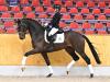 Foto: Zarenstern v. Zuperman – San Amour I – Don Schufro - Fotograf: OLD Art