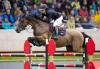 Foto: Die Titelverteidigerin: Lisa Nooren im Satteln von VDL Groep Sabech D’Ha - Fotograf: www.sportfotos-lafrentz.de