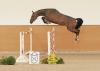 Foto: Youngster von Casall - Fotograf: Dinken