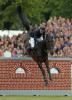 Foto: Nisse Lüneburg - Sieger im 85. Deutschen Spring-Derby 2014 - mit dem Holsteiner Wallach Calle Cool - Fotograf: Stefan Lafrentz
