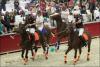 Foto: Auf geht’s zur Pappas Amadeus Horse Indoors mit vielen Premieren und abwechslungsreichem Programm! - Fotograf: Fotoagentur Dill