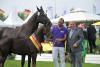 Foto: Sieger-Hengstfohlen Deutsches Fohlenchampionat 2014 von For Romance-De Niro mit dem Gratulanten Urs Schweizer (re.) - Fotograf: Tanja Becker