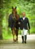 Foto: Ein starkes Team sind GLOCK’s London und GLOCK Rider Gerco Schröder. Im Juli reiten sie beim CSI5* im GLOCK HORSE PERFORMANCE CENTER. - Fotograf: Arnd Bronkhorst