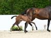 Foto: Fair Deal - Vitalis