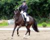 Foto: Die 36-jährige Christina Thieme, Mutter zweier Söhne und Schwester zu Derbysieger André Thieme, hat sich im vorigen Jahr vor heimischer Kulisse in Redefin mit dem jetzt 11-jährigen Dozent den Landesmeister-titel bei den S-Dressurreitern geholt und ist Willens, diesen Titel in diesem Jahr zu verteidigen - Fotograf: Jutta Wego