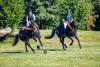 Foto: Trakehner Geländepferdechampions 2024: Links im Bild der fünfjährige Fly High v. Asagao xx mit Sandra Penndorf, rechts im Bild der sechsjährige Ni’ihau v. Kros unter dem Sattel von Jens Hoffrogge. - Fotograf: Jutta Bauernschmitt