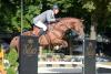 Foto: Ludger Beerbaum mit Zinedine - Fotograf: Karl-Heinz Frieler 