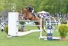 Foto: Marc Houtzager mit Sterrehof`s Uppity - Fotograf: Karl-Heinz Frieler