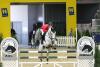 Foto: Das niederösterreichische Dream Team Nina Brand und Calme P hat sich mit einer fehlerfreien Runde und Platz 12 bereits aufgewärmt - Fotograf: Krisztian Buthi