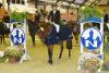 Foto: Gerome Grafe mit Bartez, Sieger der Ponyprüfung - Fotograf: Christian Beeck 