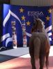 Foto: Die Zukunft im Blick: die Mitglieder der Vereinigung der europäischen Staatsgestüte (ESSA) engagieren sich für die Förderung der klassischen Reit- und Fahrkunst und kämpfen um den Erhalt gefährdeter Pferderassen und kulturhistorischer Zuchtstätten - Fotograf: A.Lotz