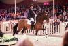 Foto: Preisspitze der Dressurpferde, V-Plus Gold unter Frederic Wandres - Fotograf: LL Foto