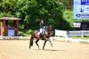 Foto: 2019 konnten Dorothee Schneider und Lord Fittipaldi die Qualifikation zum NÜRNBERGER Burg-Pokal für sich entscheiden - Fotograf: Gr. Feldhaus 