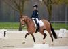 Foto: Fotoagenutur Dill 