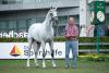 Foto: Gerd Sosath mit Casino Berlin beim CHIO Aachen 2019 - Fotograf: Wolf 