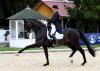 Foto: 2019 gewannen Thomas Wagner und Soul Men die Finalqualifikation bei den Bettenröder Dressurtagen – heute ist das Paar hocherfolgreich im Grand-Prix-Sport angekommen - Fotoraf: Maximilian Schreiner