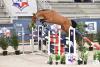 Foto: ICATCHER DE BALOU STAR ((Balou Star x Lordanos x Veloce de Favi AA) - Fotograf: L'équipe Photos Les Garennes