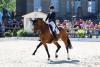 Foto: 2021 waren Nicole Wego-Engelmeyer und Citation in Ludwigsburg erfolgreich. Die 12. und letzte Finalqualifikation zum NÜRNBERGER BURG-POKAL 2022 verspricht einmal mehr einen spannenden Wettkampf von Top-Talenten im und unter dem Sattel - Fotograf: Thomas Hellmann