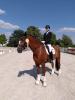 Foto: Siegerin M Dressur Linda Jung - Fotograf: RFV Rot am See - http://www.fotoagentur-dill.de