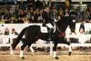 Foto: Preisspitze Omega *2019 Hengst v. Springbank II - Krack C - Fotograf: Doris Matthaes 