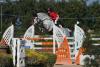 Foto: Deckhengst Hickstead White - Fotograf: Mag. Theresa Deisl