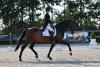 Foto: Claudia Krabbenhöft und die Holsteiner Stute D'Yarra ritten mit 69,715 Prozent zum ersten Platz in der Dressurprüfung der Klasse S* - Fotograf: Photo Rocket