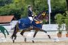 Foto: Die fünfjährige Stute Luxusliebe v. Freiherr von Stein strahlte mit Wiebke Hartmann-Stommel als Championesse der fünfjährigen Dressurpferde - Fotograf: Jutta Bauernschmitt